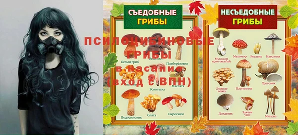ГАЛЛЮЦИНОГЕННЫЕ ГРИБЫ Алексин