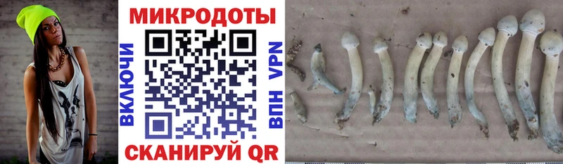 Псилоцибиновые грибы ЛСД Юрьевец